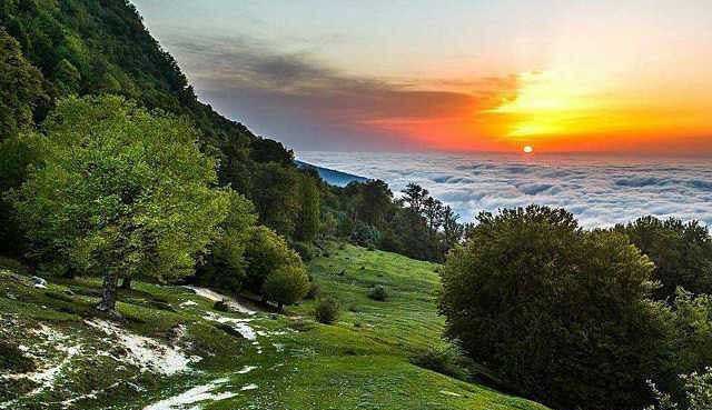 گردشگری